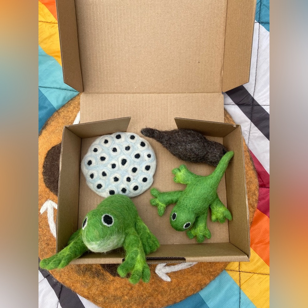 Tara’s Treasures Felted Lifecycle of a Frog
